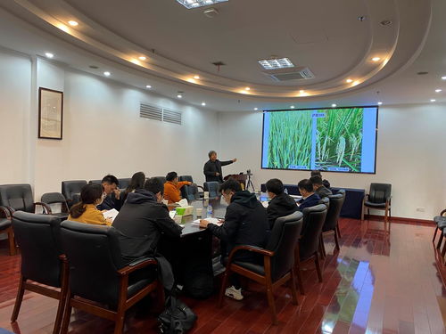 上海市科技興農技術創新項目“優質高效兩系節水抗旱稻新品種的培育與應用”通過驗收